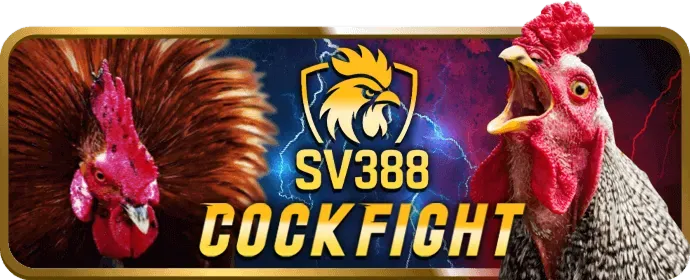 Phân tích chuyên sâu về bảo mật nền tảng Win88bet