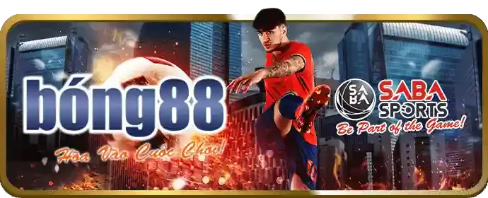 Hoàn Trả Thể Thao Không Giới Hạn